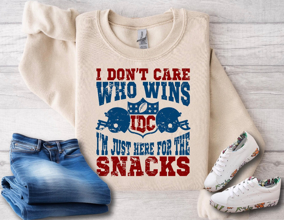Super Bowl shirt/sweatshirt