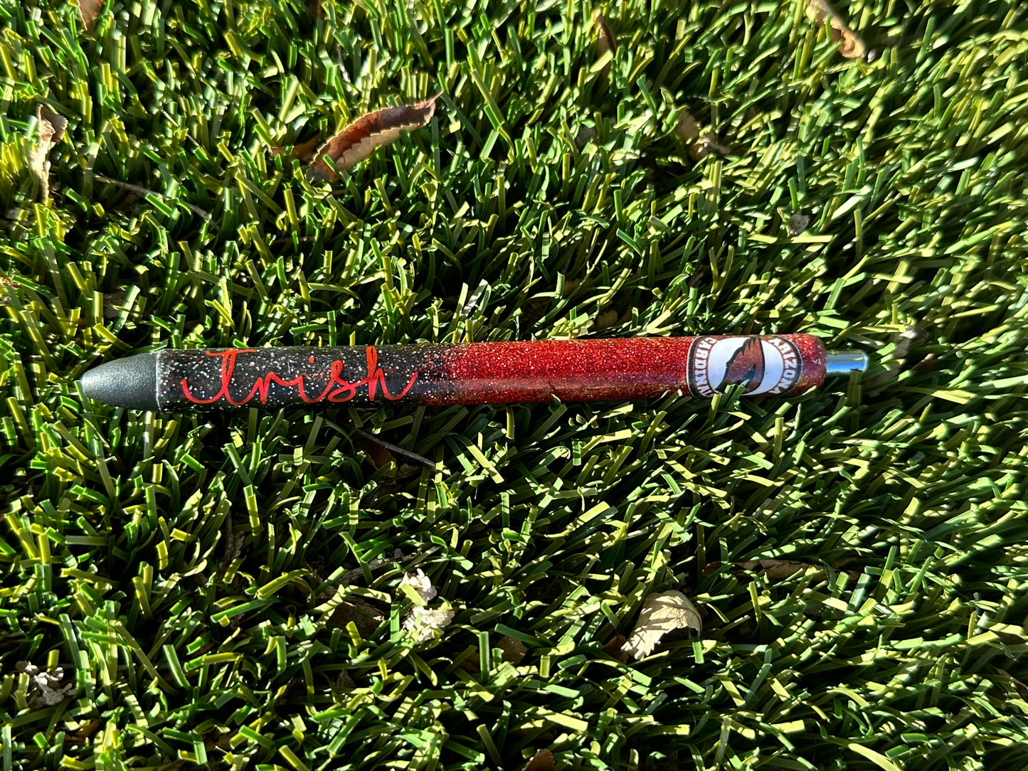 NFL or college football pens