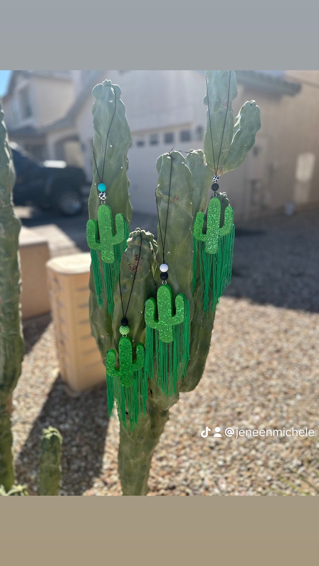 Cacti freshie w/fringe