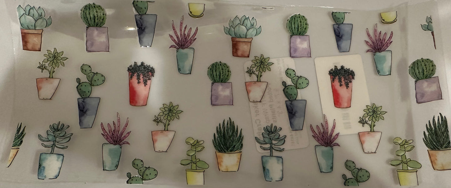 Potted plants