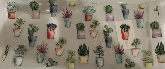 Potted plants