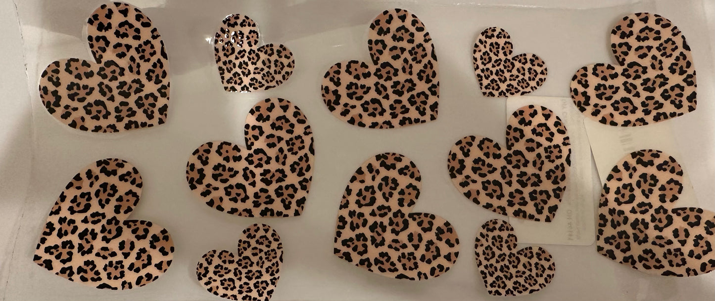 Cheetah Love