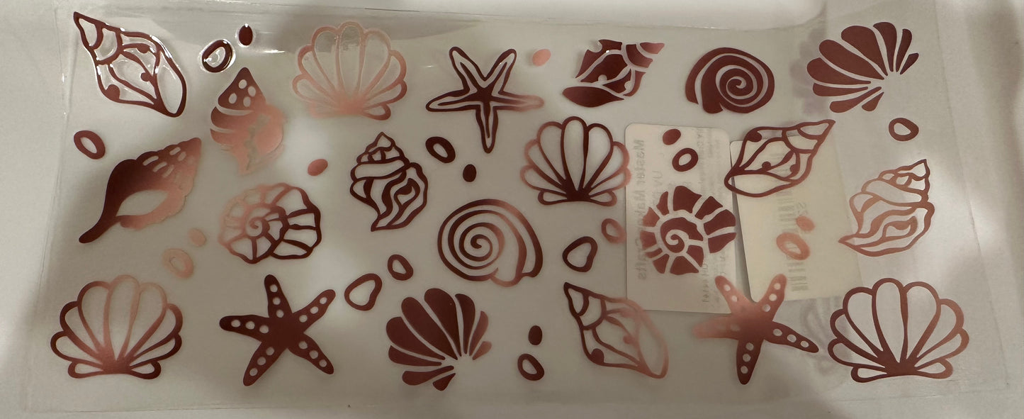 Sea shell