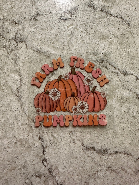 Farm Fresh pumpkins