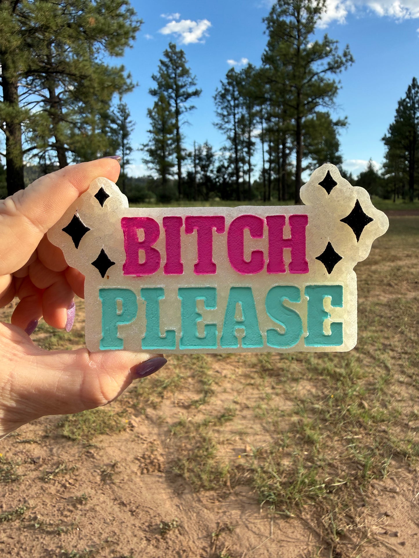Bitch Please